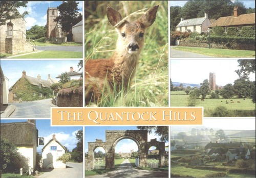 Salmon quantock hills postcard - hills,