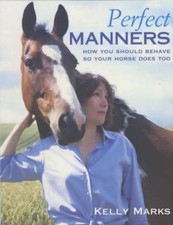 Perfect Manners: How You