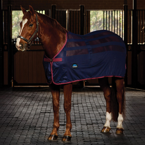 Weatherbeeta horse scrim - weatherbeeta,