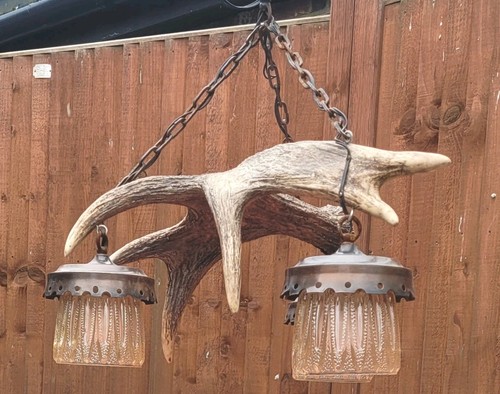 Real antler pendant ceiling - real,