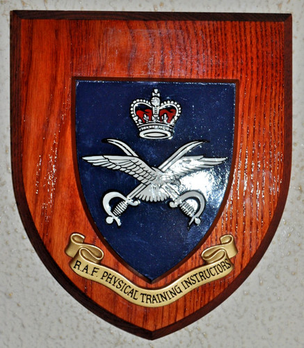 Royal air force physical - force,