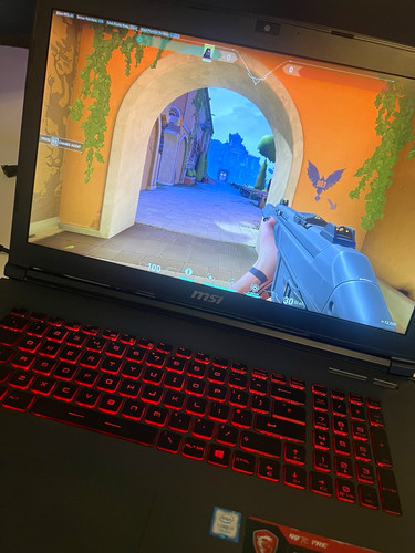 Msi gaming laptop - gaming, gre