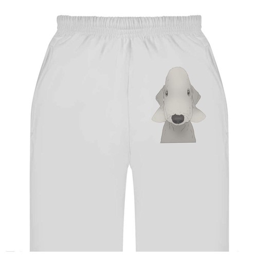 Bedlington terrier adult - 'bedlington, terrier'
