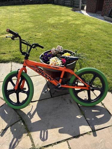 Bmx giro big - daddy, rooster