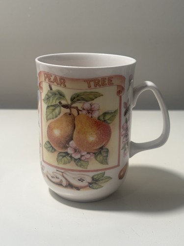Rose england white fine - england,