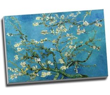 VAN GOGH BLOSSOMING ALMOND