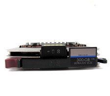 300GB SCSI (80 Pin Ultra-320) 3.5" 15K (With Caddy) HDD - 411261-001