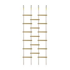 Innovative Rainbow Kids'