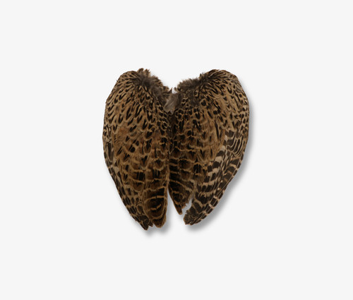 Air dried hen - dried, pheasant