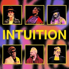 Brooklyn Funk Essentials Intuition (Vinyl) 12" Album