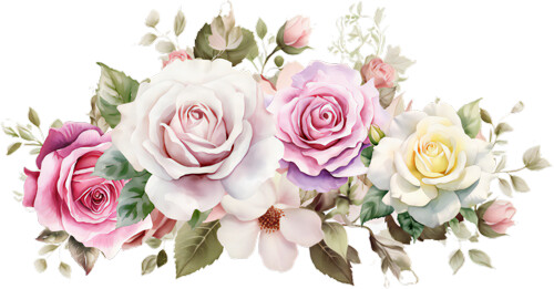 Beautiful flowers colourful - flowers,