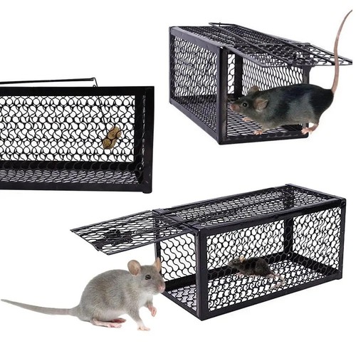 Rat trap mouse - trap, humane