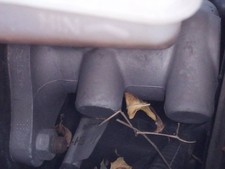 BRAKE PUMP / 2451682 FOR