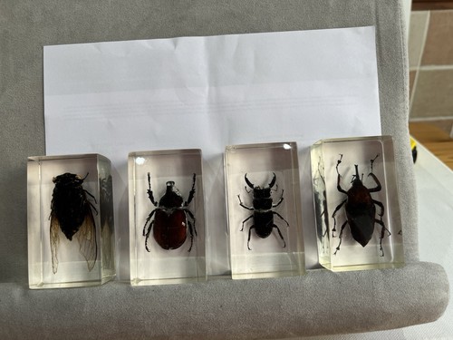 Bundle mixed bugs resin - bundle, of