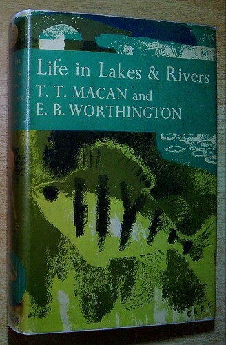 Macan worthington e b - t,