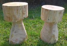 Mushrooms toadstools solid