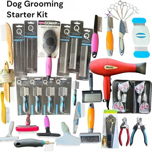 Dog grooming starter kit - grooming,