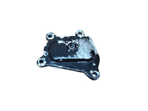 Carter paint cover - cover, r1