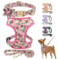 Big flower walking dog - big, harness