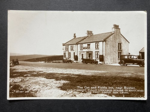 The cat fiddle - cat, inn