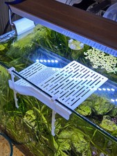 Turtle Basking Platform