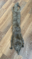 VINTAGE TAXIDERMY FOX SKIN FUR PELT  43” approx. 