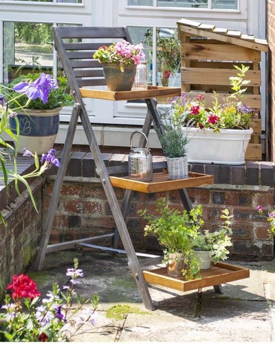 Alderley hardwood plant ladder - alderley,