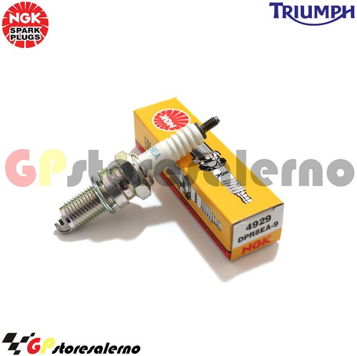 Dpr8ea candle ngk triumph - candle,