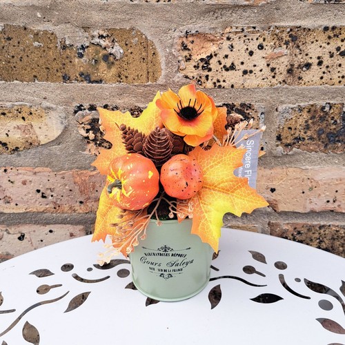 Halloween autumn pumpkin small - halloween,