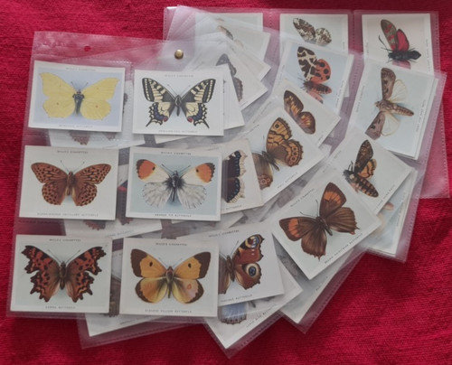 Butterflies moths wills - &,