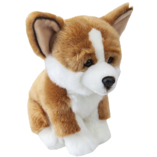 Corgi puppy 25cm plush premium - puppy,