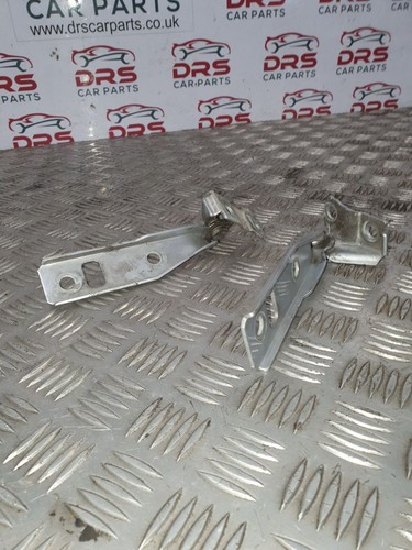 Golf pair bonnet hinge - pair,