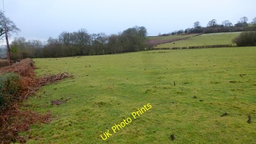 Photo 6x4 pasture land - photo,