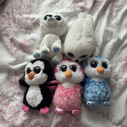 Beanie boo bundle arctic - boo,