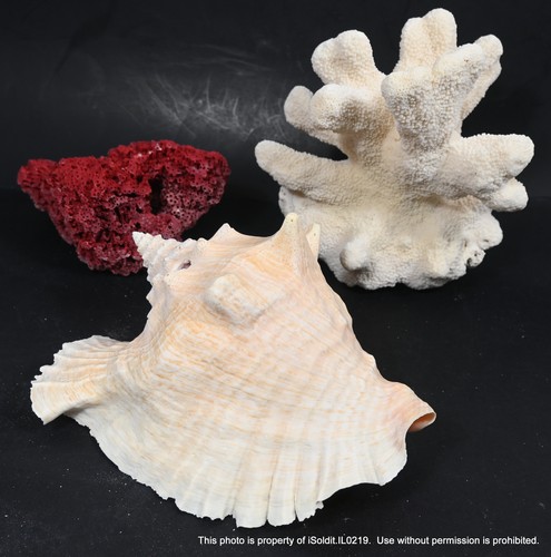 Lot vintage pieces natural - lot, 3