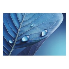 Textured Non-Woven Paste the