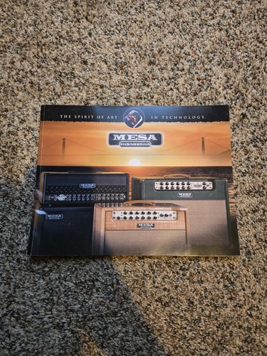 Mesa boogie electric guitar - boogie,