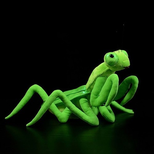 32cm cute green mantis - mantis, plush
