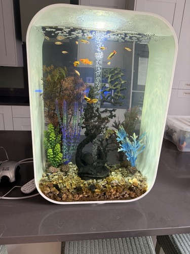 Biorb life 60l aquarium led - life,
