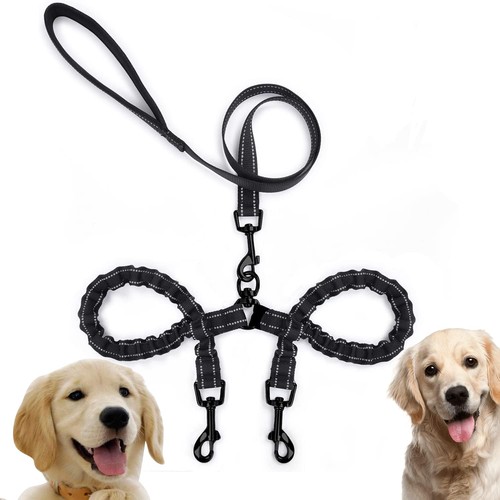 Double dog leash dual - two,