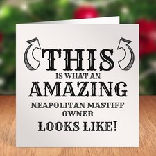 THIS IS WHAT AN AMAZING NEAPOLITAN MASTIFF OWNER LOOKS LIKE BIRTHDAY CARD