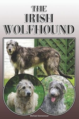 The irish wolfhound a - the,