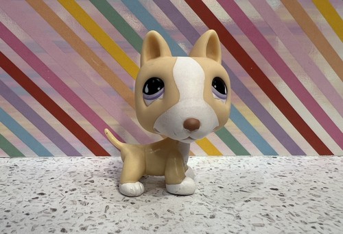 Littlest pet shop blonde - shop, /