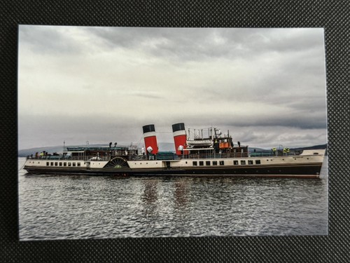 6x4 print paddle steamer - print,