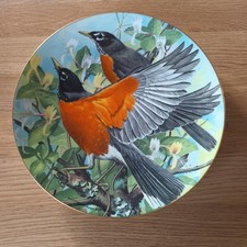 “Garden Birds of the