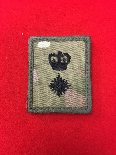 Multicam lieutenant colonel - lieutenant,