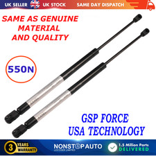 2X REAR TAILGATE GAS STRUTS