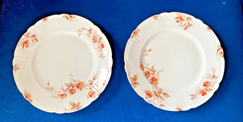 Antique haviland limoges - haviland,