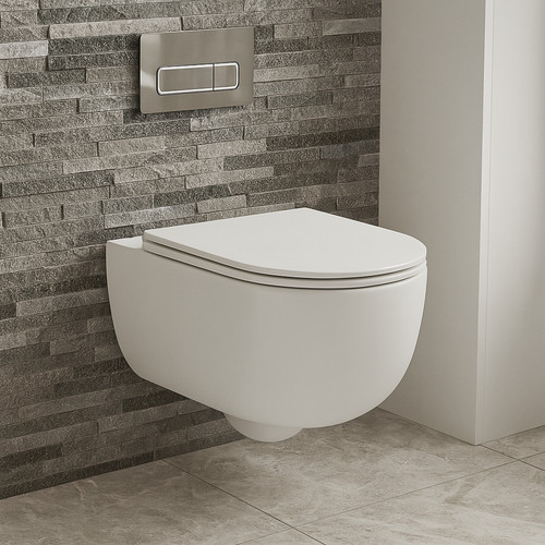 Bathroom toilet pan - toilet, rimless