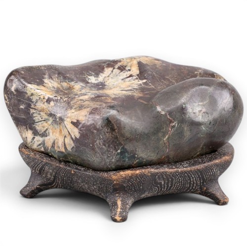Suiseki flower stone viewing - stone,